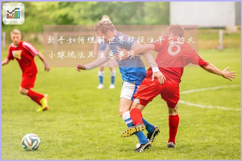 新手如何理解世界杯投注平台的大小球玩法及注意事项