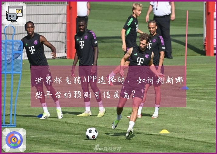 世界杯竞猜APP选择时，如何判断哪些平台的预测可信度高？