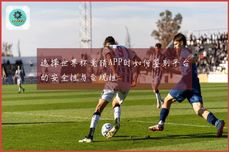 选择世界杯竞猜APP时如何鉴别平台的安全性与合规性