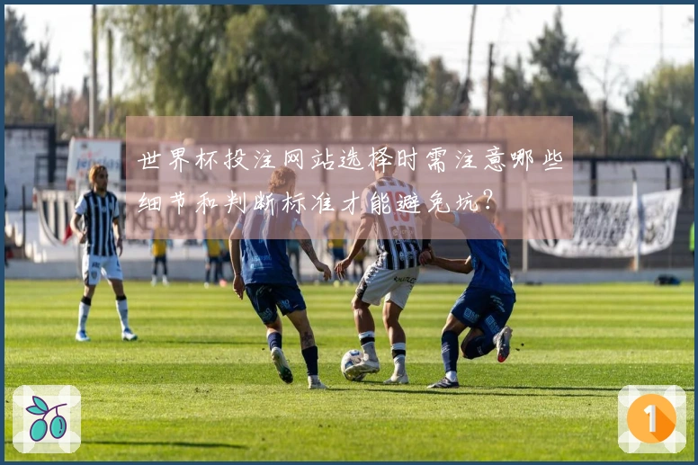 世界杯投注网站选择时需注意哪些细节和判断标准才能避免坑？